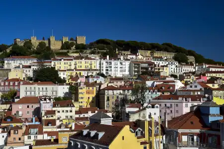 My Story Figueira - 8