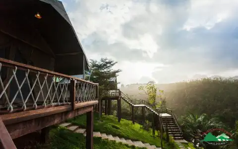 Khaosok Boutique Camps - 0