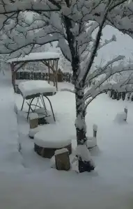 Popock Dilijan 1 - 10
