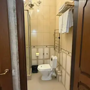 Lion - 69