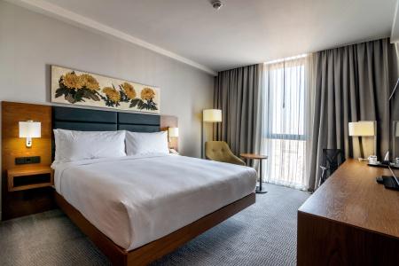 Hilton Garden Inn Tbilisi Chavchavadze - 43