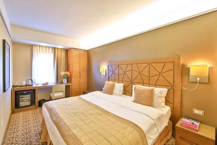 Ramada by Wyndham Istanbul Taksim - 8