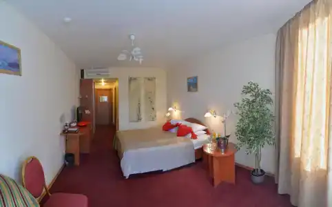 Tsentralny EuroHotel - 85