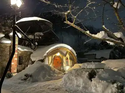 Dilijan Cozy House - 3