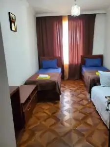 Dioscuria Borjomi Guest House - 19