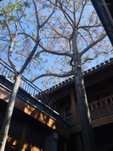 Manxin Mansion Beijing Qianmen Courtyard - 20