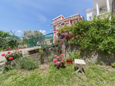 Apartments Viktorija - 14