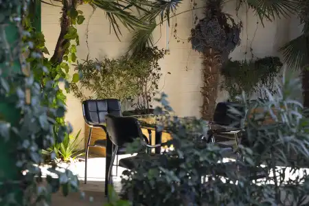 Vedzisi Garden - 22