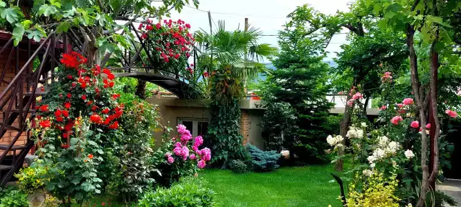 Green Garden Apartments - 2