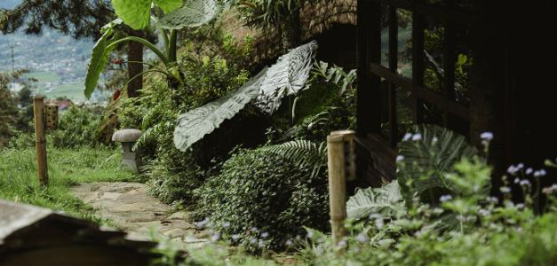 Sapa Jade Hill Resort & Spa - 39