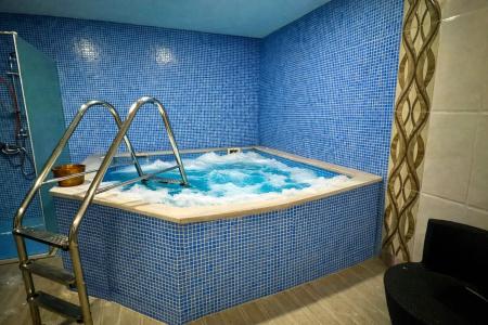 Travel Inn Bakuriani - 12