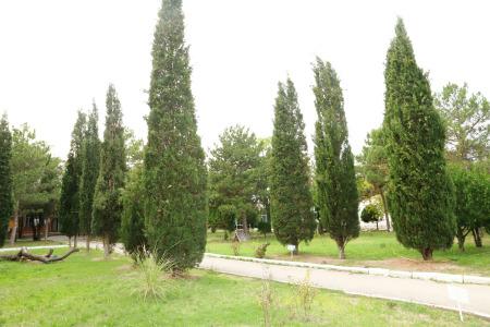 Priboj Sanatorium - 41