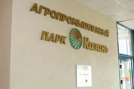 Azalya - 9