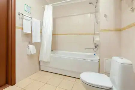 Bristol-Zhiguli - 132