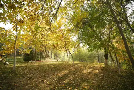 Wellmore Resort Charvak - 26