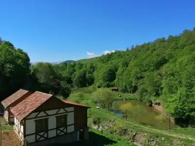 Ecokayan Dilijan Resort - 16