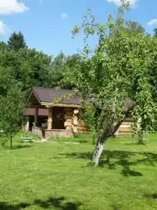 База отдыха Дубки - 209