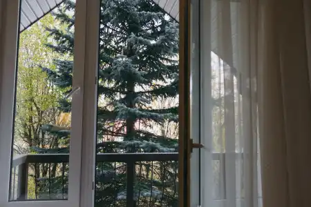 Gostinichnyij Kompleks Sosnovyij Bor - 32