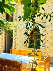 Colibri Traditional Guest House - 24