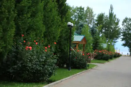 Raduga - 21