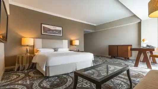 Hyatt Regency - 35