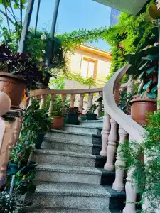 Nanas Guest house - 63