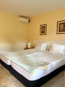 Lotus Sunny beach - 14