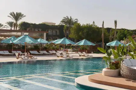 Desert Rose Resort - 5
