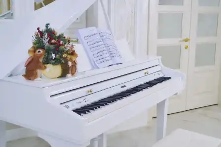 Ariya - 14