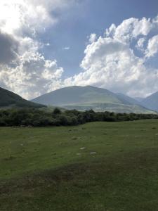 Sky Yurts Camping - 14