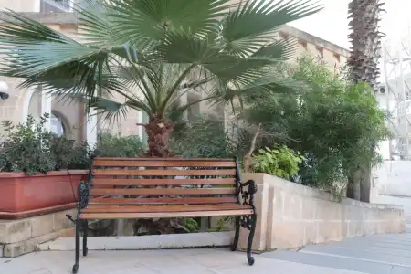 Il Palazzin - 16