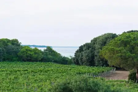 Masseria Mongiò dell'Elefante - 11