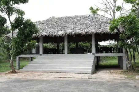Oak Ray Elephant Lake - 6