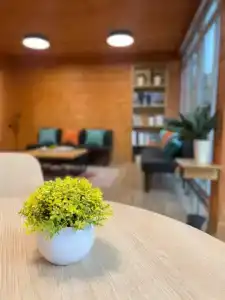 Neptun Tourist base - 69