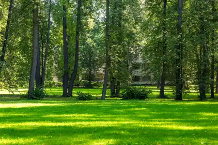 Volynskoye Congress Park - 28