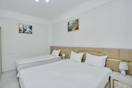 Registon Gold - 7