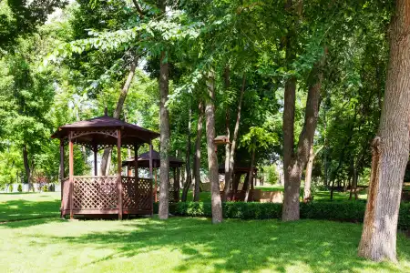 Nadezhda Park-Hotel - 6