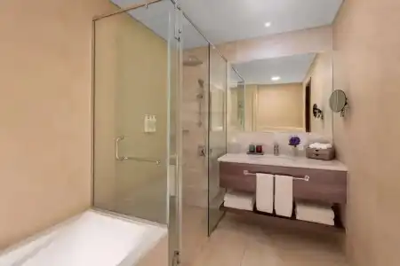 Avani + Palm View Dubai & Suites - 16