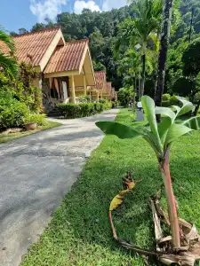 Rim Khao Resort - 6