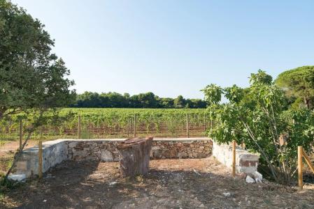 Masseria Mongiò dell'Elefante - 22
