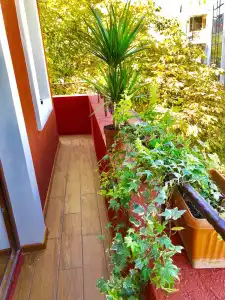 British House - 31