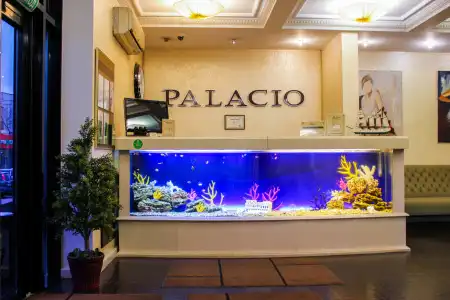 Palacio - 0