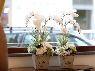 Vergilius Billia - 6