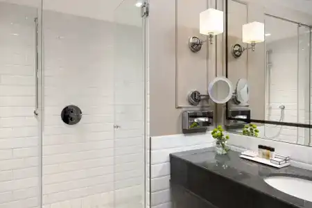 Chekhoff Moscow Curio Collection by Hilton - 73