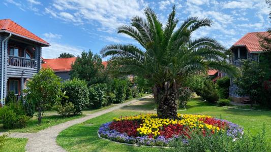 Ozero Divnoe Park-Hotel - 0