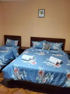 Dioscuria Borjomi Guest House - 18