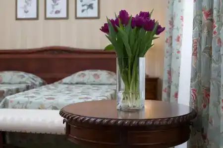 Dolphin Resort by Stellars, - 55