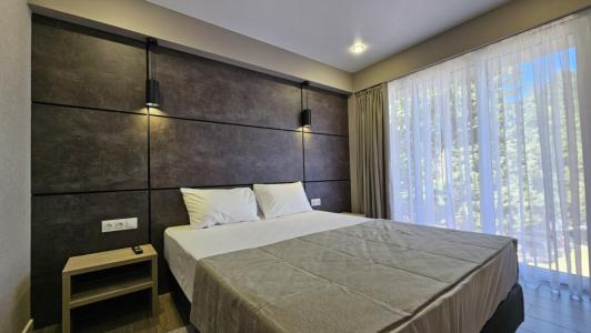 Бристоль - 31