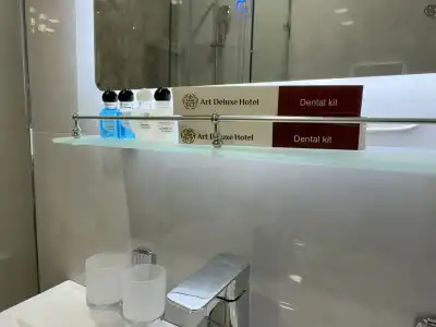 Art Regency Premium FREE airport service - 33