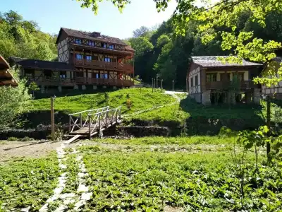 Ecokayan Dilijan Resort - 22